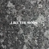 달처럼 like the moon
