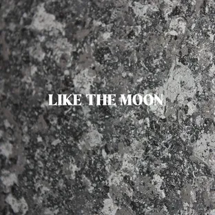 달처럼 like the moon