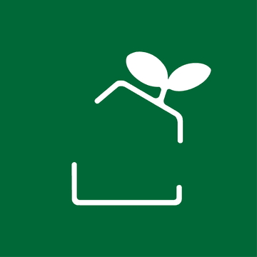 팜러닝