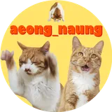 애옹나웅