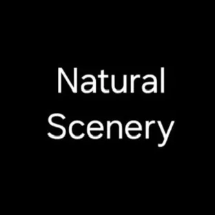 NS