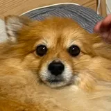 장꾸오월