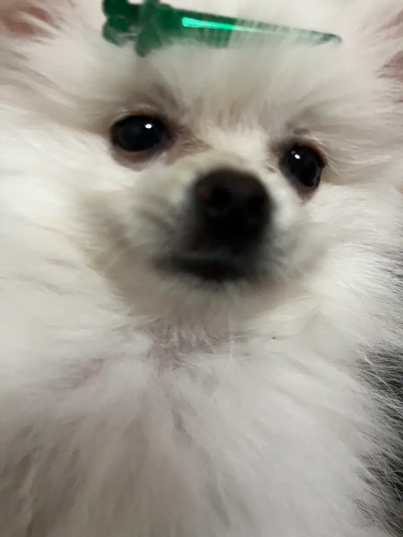 thumbnail_background_img