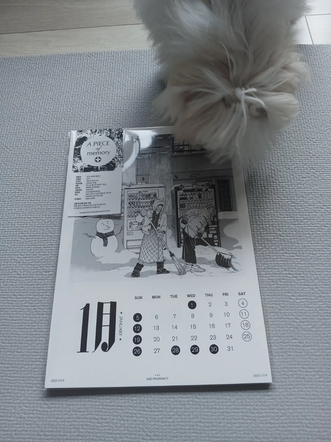 Review thumbnail image