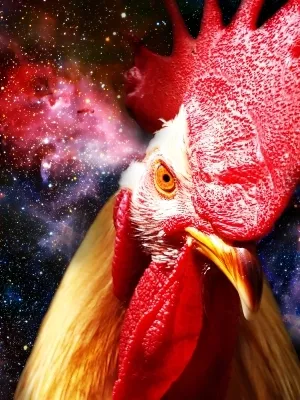 치치