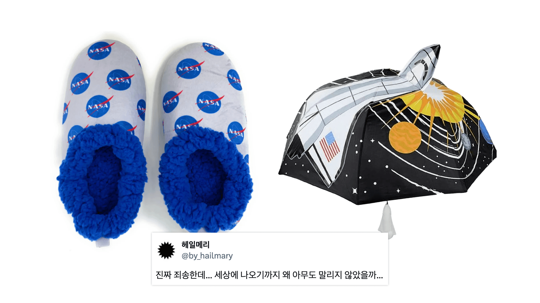 출처: 헤일메리 X(@by_hailmary), NASA