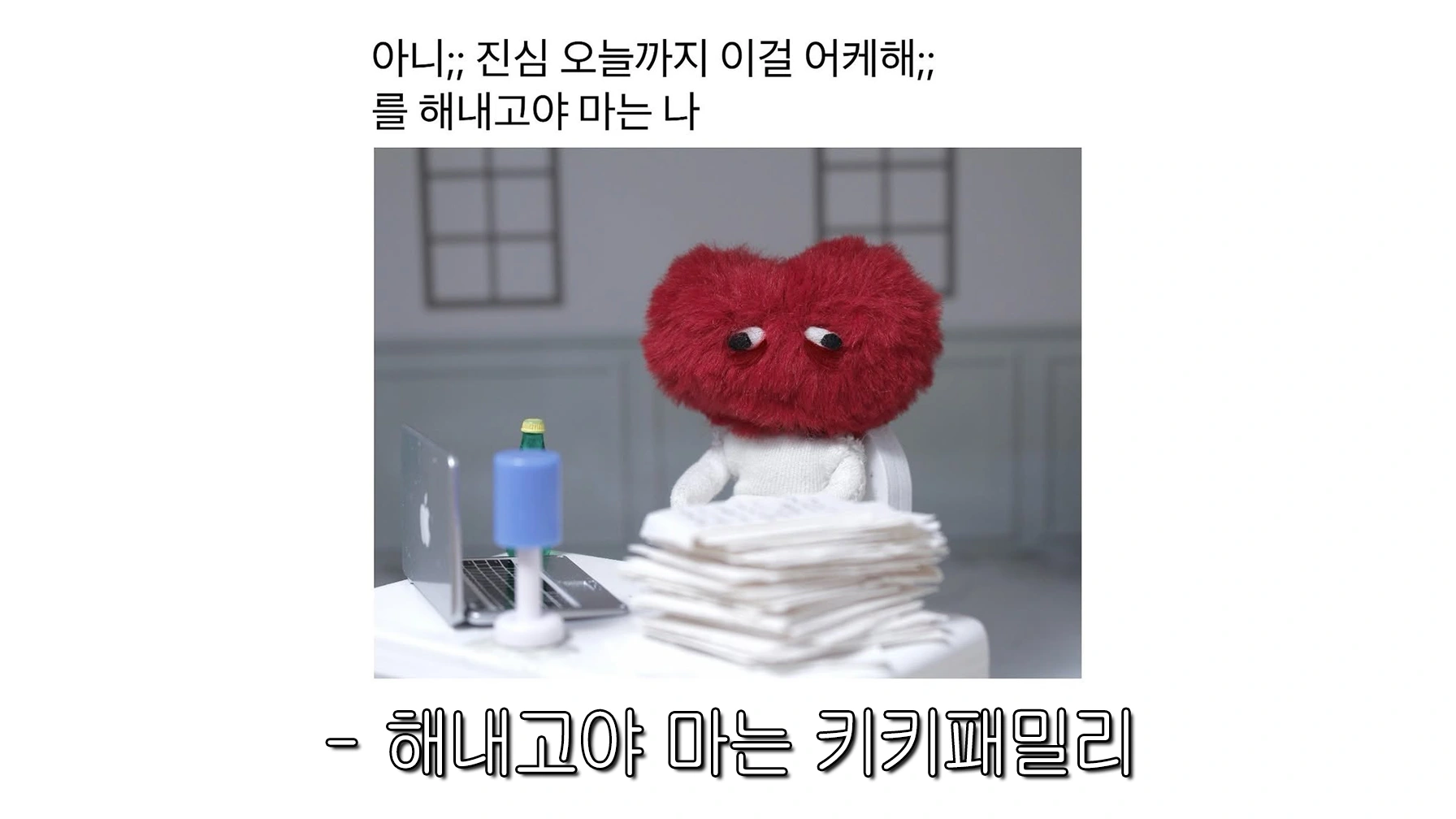 출처: 키키패밀리 IG(@kikik_family)