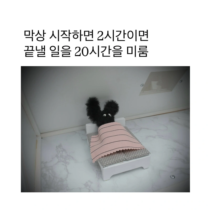 출처: 키키패밀리 IG(@kikik_family)