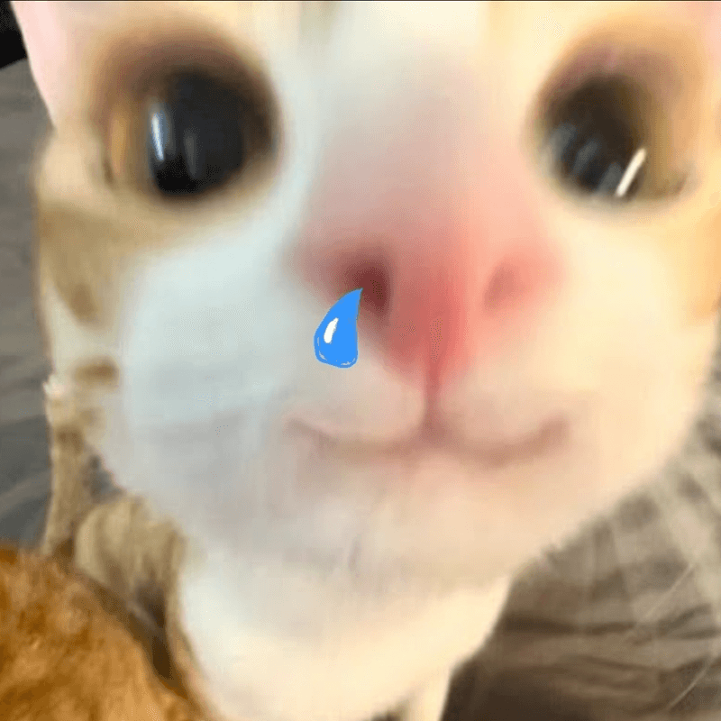 thumbnail_background_img
