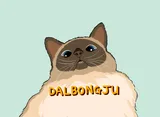 달봉주Dalbongju냥이
