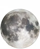 NEMOON