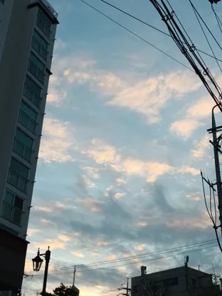 유리브yurive