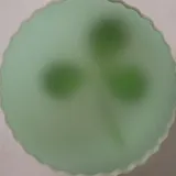 맹자샵