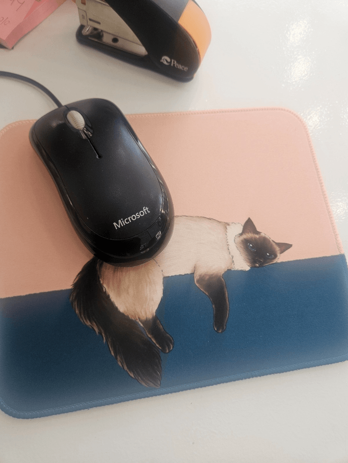Review thumbnail image