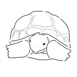 SYSY