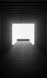MEMETIC