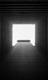 MEMETIC