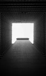 MEMETIC