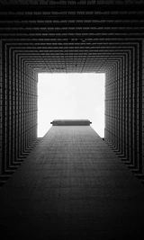 MEMETIC