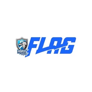 YonseiEaglesFlag