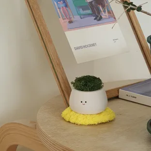 솔숲