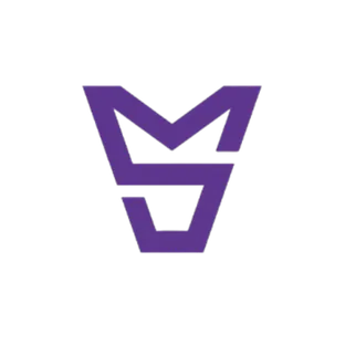 TEAM MASTER