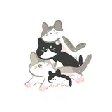 고양이세마리