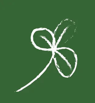 SHS