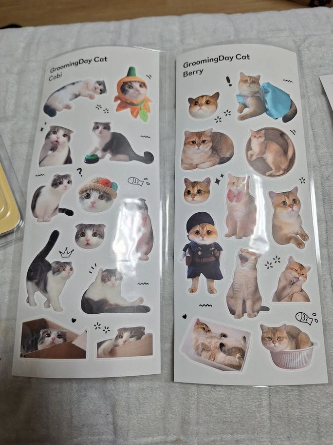 Review thumbnail image