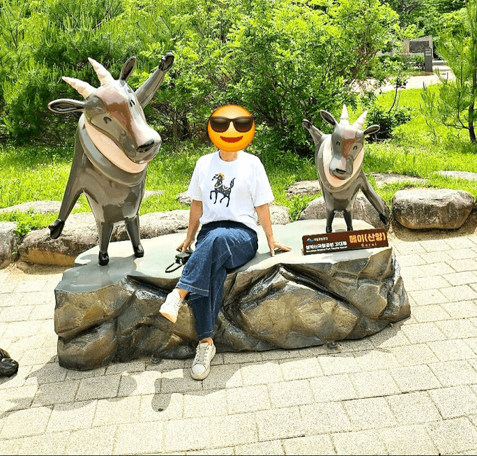 Review thumbnail image