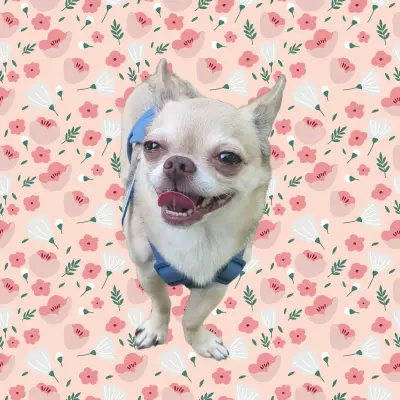 thumbnail_background_img