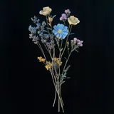 SoundStills